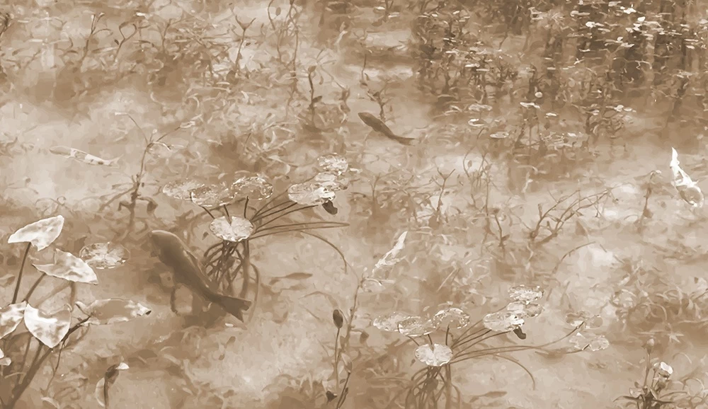 Tres Tintas Tokyo JO2720-02 3 Tres Tintas Tokyo JO2720-02