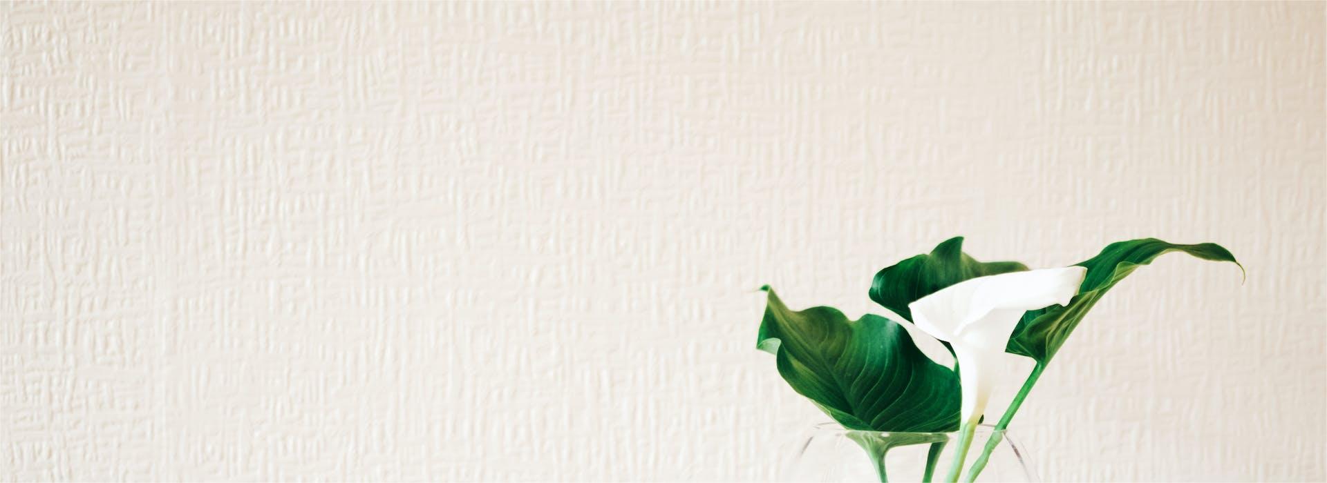 Trendy Wanddecoratie Wereld -Trendy Wanddecoratie Wereld pexels lisa fotios 1266302